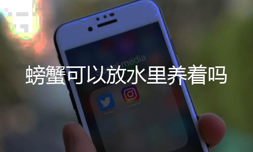 螃蟹着吗里养放水可以