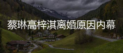 幕 么离因内高梓蔡琳两人婚原婚淇离为什结婚什么时候
