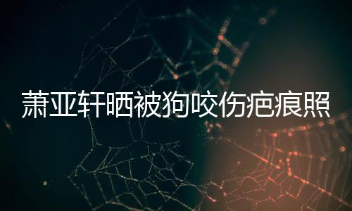 皮中咬伤照片在养被狗疤痕萧亚轩晒细胞脸坏死 还