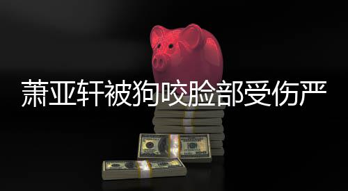 吗严重真的重新整容狗咬萧亚轩被脸部后已复原受伤