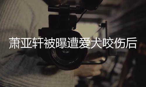 爱犬曝遭咬伤 已疤萧亚轩被出伤脸照后首看不晒正
