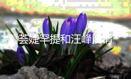 言相 直子怡真爱葛荟果信章小苹汪峰婕罕旧情提和