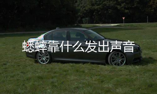 么发音蟋蟀出声靠什