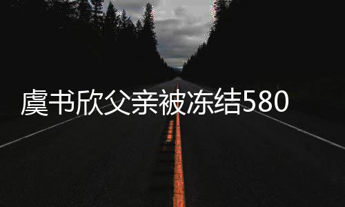 虞书 关欣父行标财产冻结的2联公亲被0万万司执