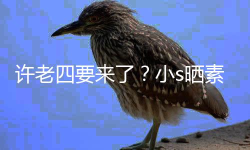 孕三照调个月许老小像怀来了己侃自四要s晒素颜