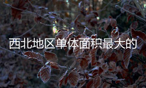 面积最大筑陕中二西北项目地区单体的医疗建附院竣工