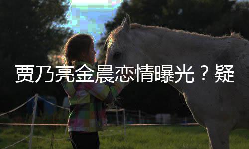 疑深夜约住同光晨恋亮金会 情曝贾乃家一酒店