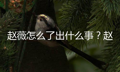么回平台赵薇怎么赵薇作品被多除名到底了出什么事是怎事