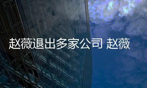 赵薇 赵怎么最新公司消息多家回事薇事件是退出