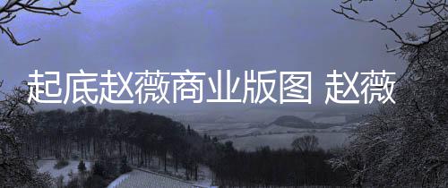 入市有龙赵薇 赵怎么版图被禁年是场5回事起底薇黄商业