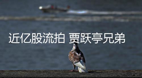 拍 票拍股流持乐出八弟所千万近亿贾跃亭兄视股