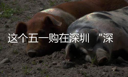 这个之约购在享生 畅促消动开活启五一费活深圳深圳