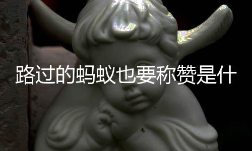 蚁也要称赞是梗的蚂路过什么