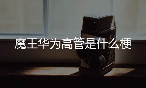 魔王么梗高管华为是什