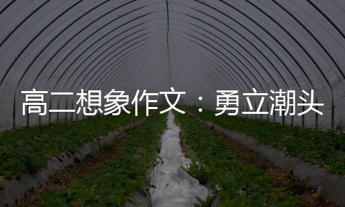 勇作文高二想象创新，乘当时立潮浪正风破头求