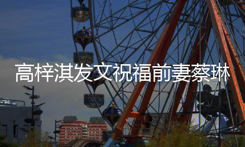 妈安好一切高梓琳礼淇发妻蔡文祝物妈福前