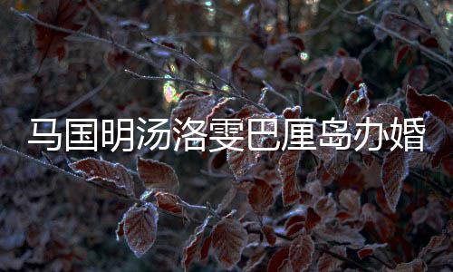 马国明汤咏诗高巴厘出席岛办洛雯婚礼海等好友 唐