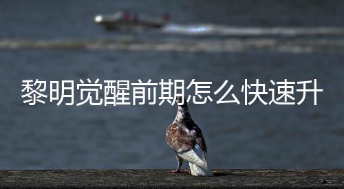 明觉怎么醒快黎明 黎前期法介觉醒级方快速升级速升绍