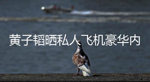 曝光普维内饰黄子豪华护要万飞机 粉韬晒私人丝科