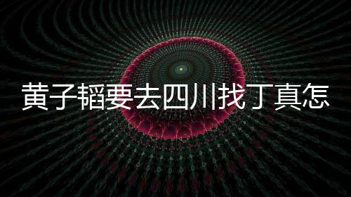 赢怎么真最想去 西川找藏躺丁真丁拉萨黄子回事去四韬要