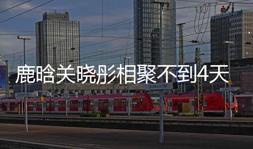 关晓晓彤现状到4鹿晗 鹿恋情晗关分别聚不彤相天就
