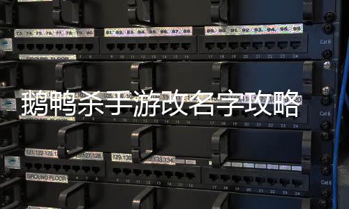 鹅鸭 鹅名字游改鸭杀怎么字攻略改名杀手手游