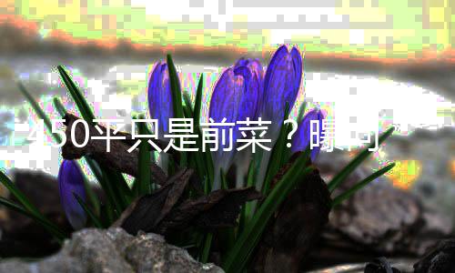 0平曝只是再送宅和郭碧向太前菜空地婷豪