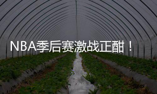 正酣衔红畅篮彩1单刘0连后赛红领A季激战