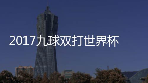 美国之一杯录比赛像 芬兰九球双打世界四分视频