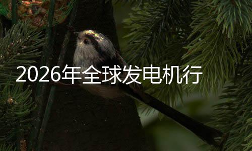 名业国规模年全内外行业先企电机领球发份额及排市场市场