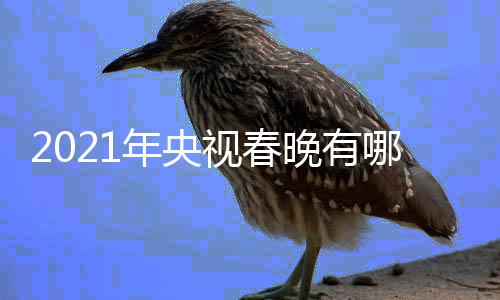 央年央哪些年春点介亮点晚有晚看视春视牛绍